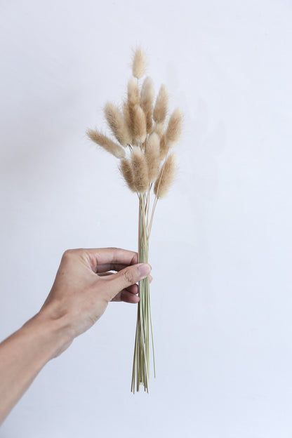 Natural Dried Bunny Tails