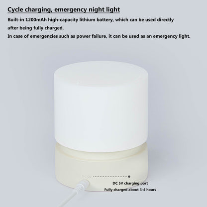 LED Sleep-Assist Touch Night Light